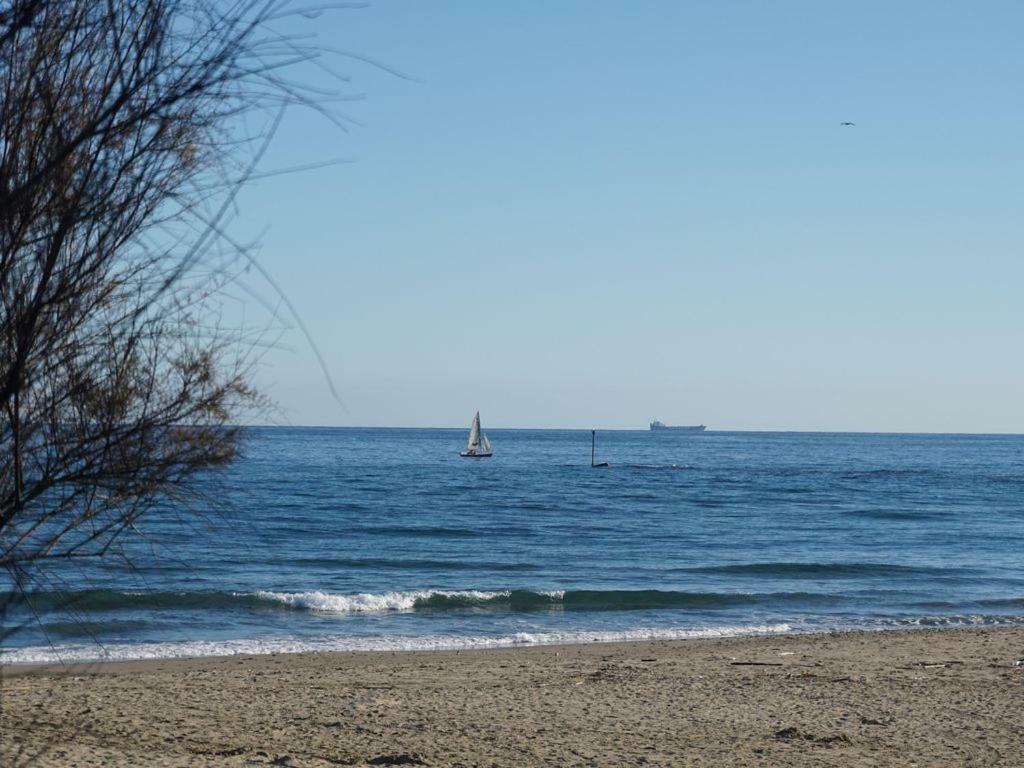 Bonito En Primera Linea Playa Appartement *
